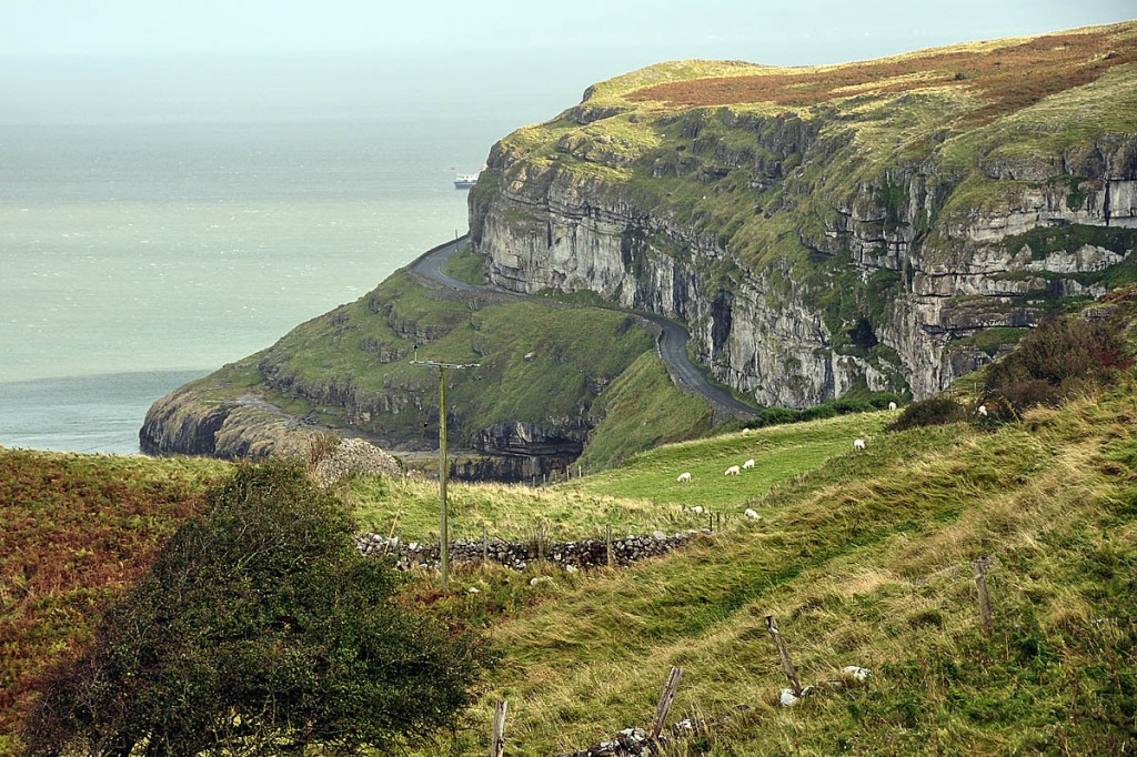 Great Orme Cliffs