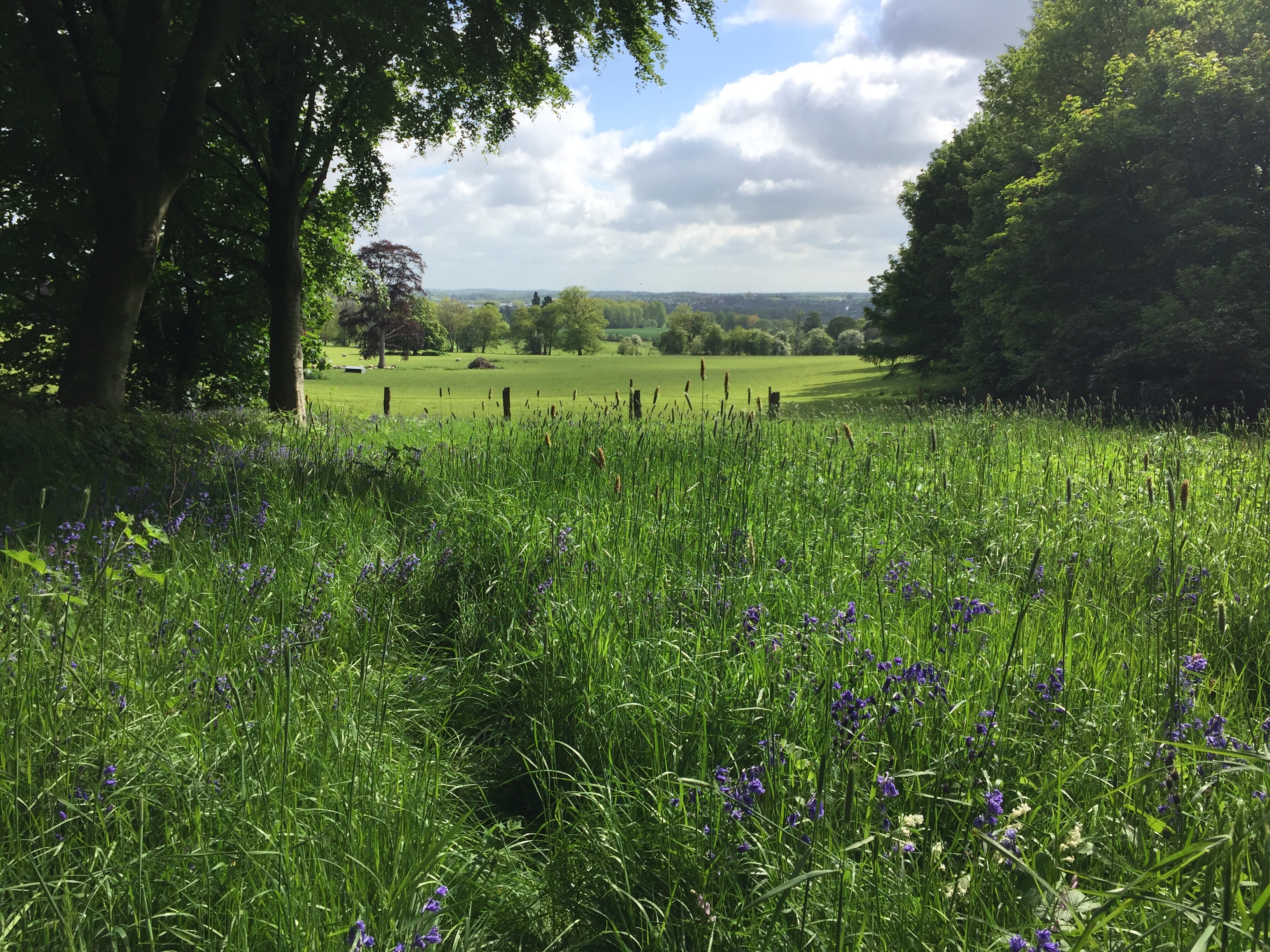 Ingestre